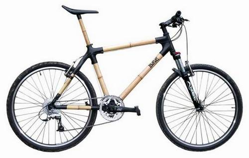 bamboobike