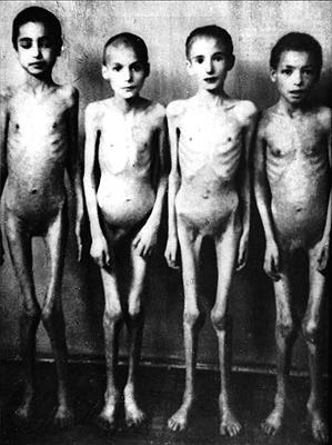 mengele kids