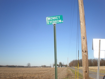 monkey kentucky