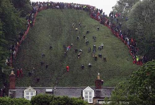 copper hill cheese rolling and wake