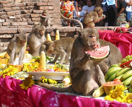 lopburi monkey buffet