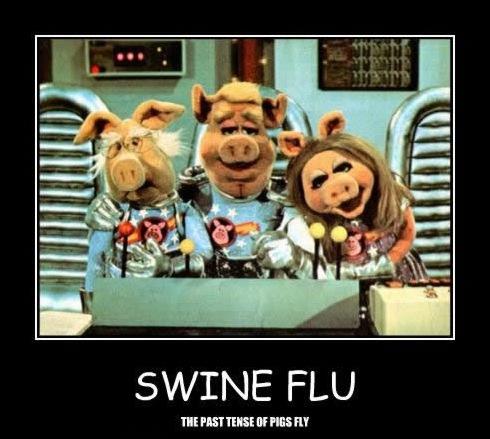 swine flu muppets