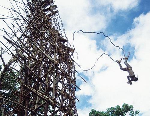 vanuatu land diving festival