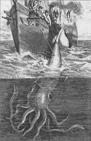 giant squid