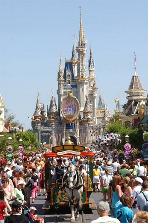 magic kingdom