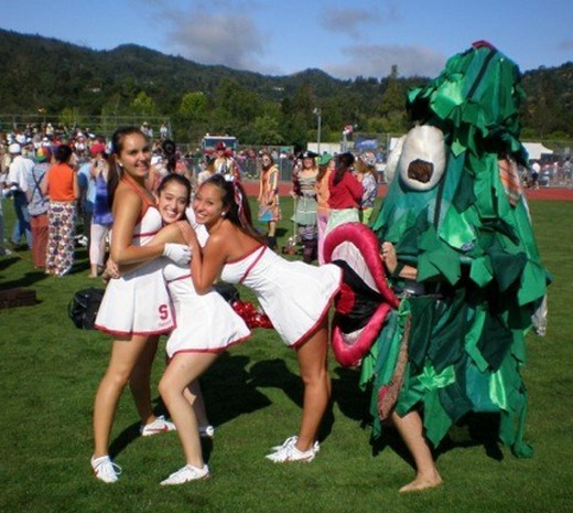 stanford cardinals