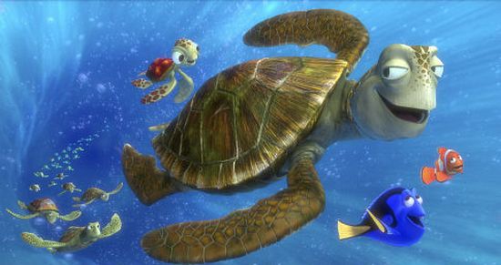 sea turtles01