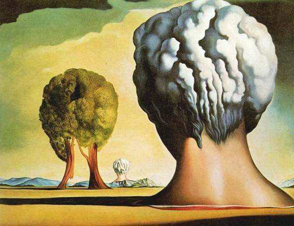 salvador dali02