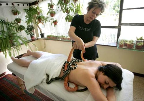 snake massages02