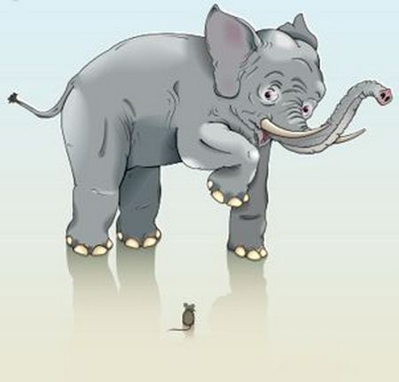 elephants01