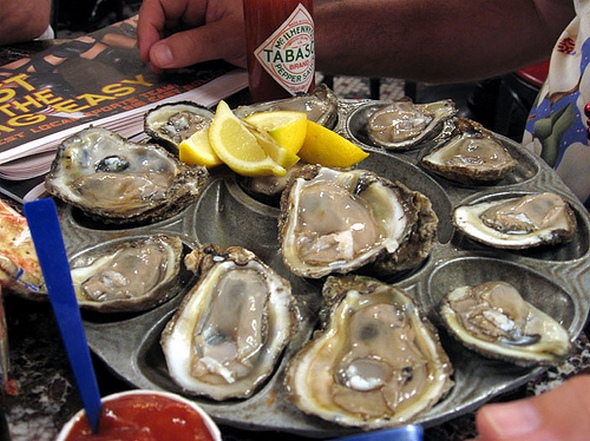 oysters