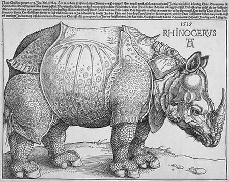 rhinoceros party