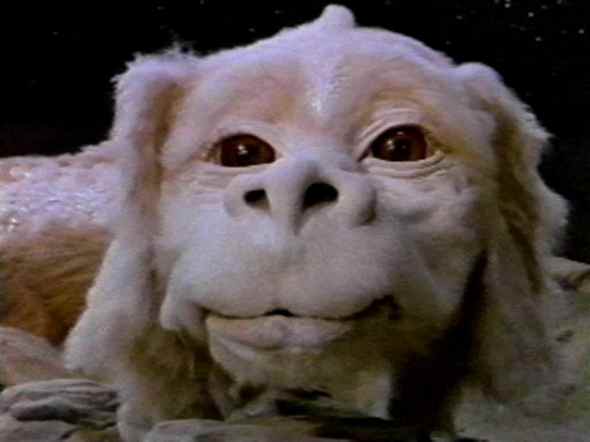 falcor