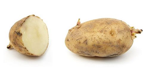 potatoes