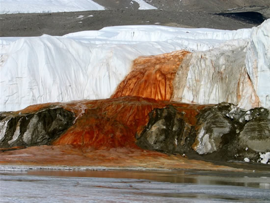 antarctica