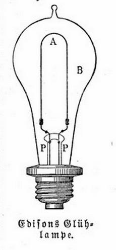 bulbs