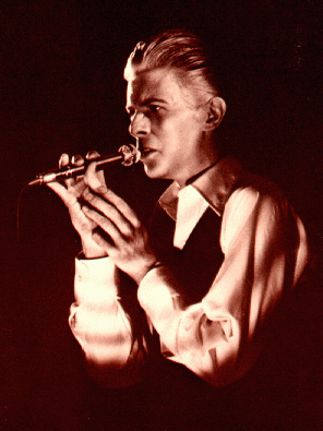 bowie