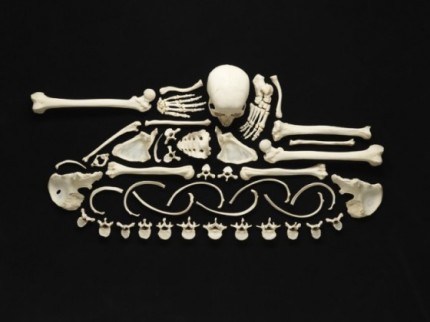 bone art2