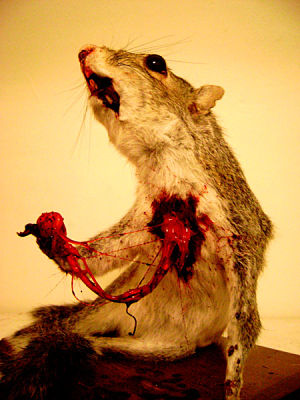 taxidermy art2