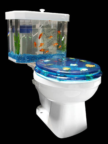 goldfish bowl toilets