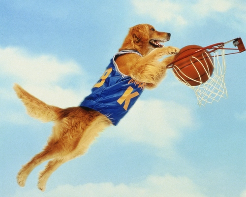 air bud