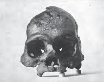 calaveras skull