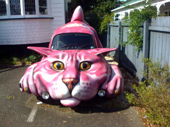 cat car