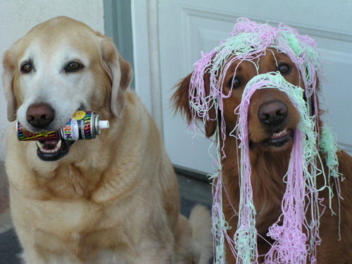 silly string