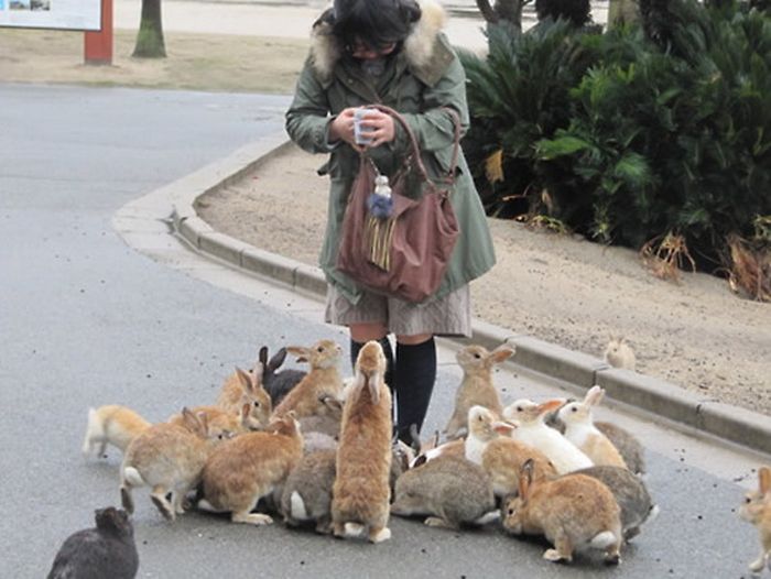 Okunoshima