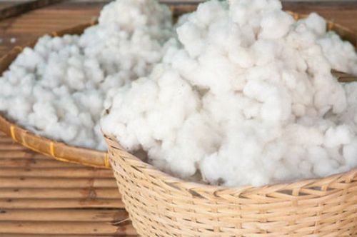 Cotton Ball Diet 