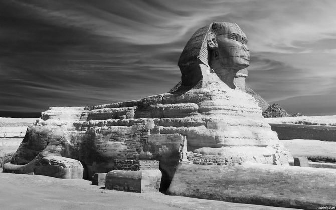 The Talking Sphinx