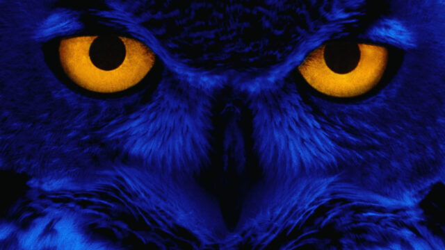 weird-wallpaper-2(1)