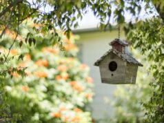 Home Security In Tree House