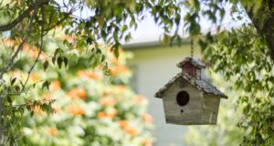 Home Security In Tree House