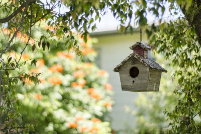 Home Security In Tree House