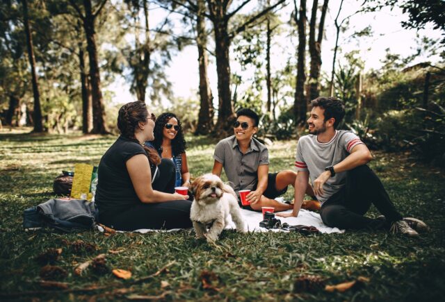 people having fun in a park