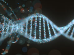 DNA Testing And Immigration: A Comprehensive Guide To Parentage Verification