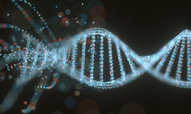 DNA Testing And Immigration: A Comprehensive Guide To Parentage Verification