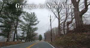 Georgia to NY Travel Choices