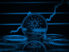 Cardano’s Resilience Paying Off