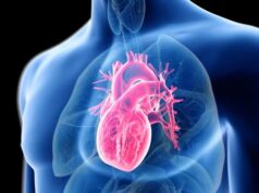 9 Surprising Facts About the Human Heart and What Can Go Wrong
