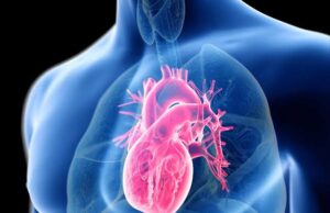 9 Surprising Facts About the Human Heart and What Can Go Wrong