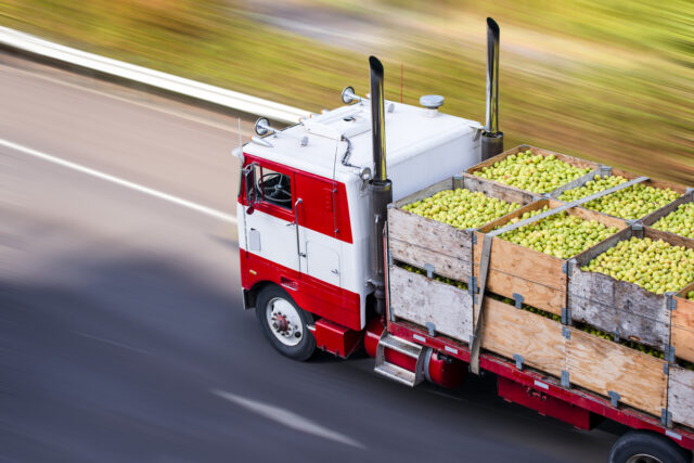 Food Grade Carriers